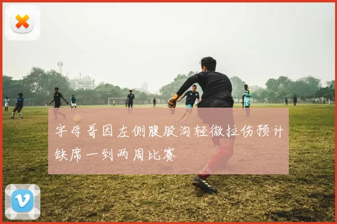 字母哥因左侧腹股沟轻微拉伤预计缺席一到两周比赛
