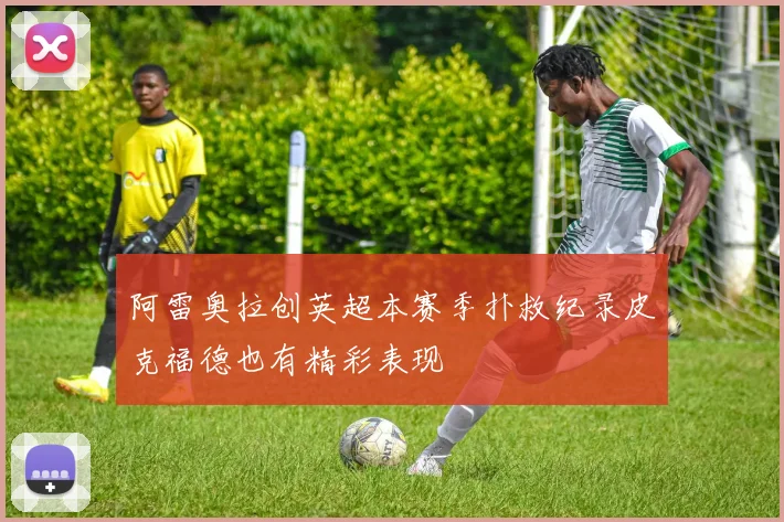 阿雷奥拉创英超本赛季扑救纪录皮克福德也有精彩表现