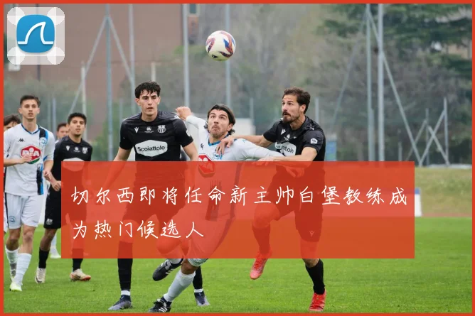切尔西即将任命新主帅白堡教练成为热门候选人