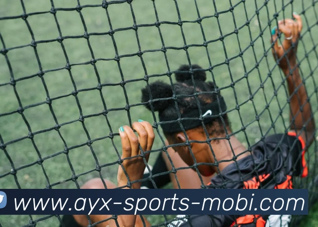 爱游戏APP 封面图